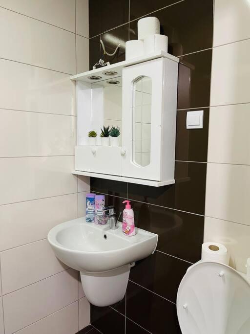 New Modern Rooftop Apartment-Free Private Parking Skopje Exterior foto